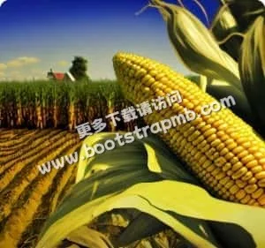 您的专业体育直播与比分入口 - 优直播