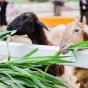 探索体育的魅力 - 优直播