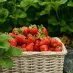 赛事直播 - 优直播